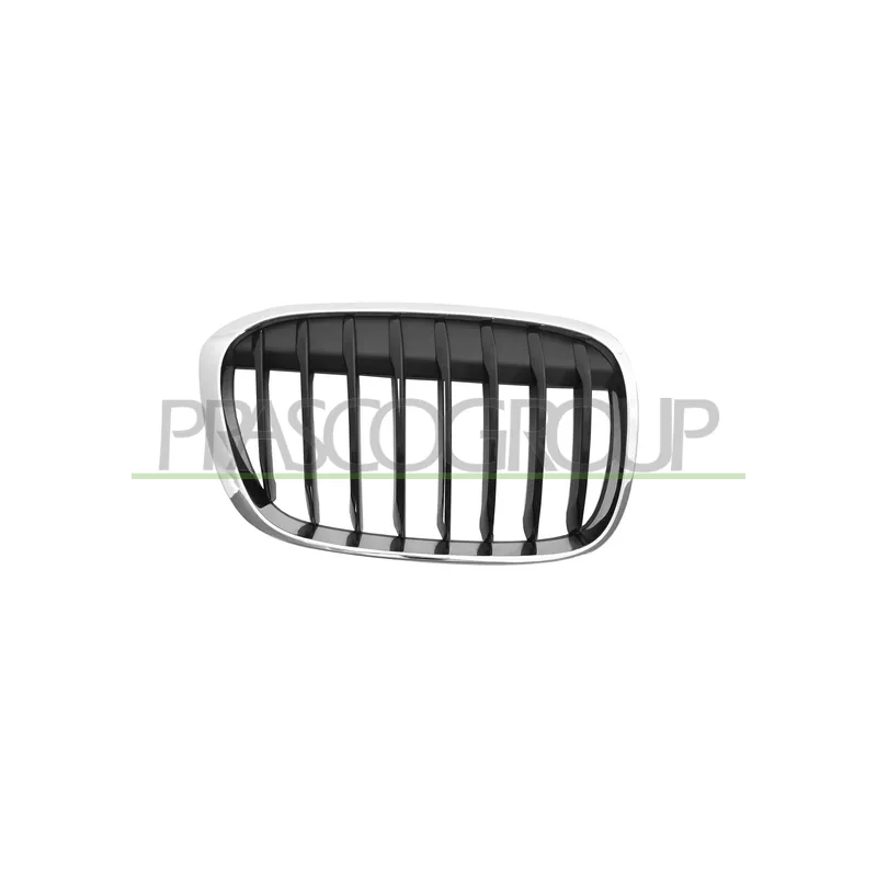Grille de radiateur PRASCO BM7072013
