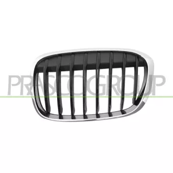 Grille de radiateur PRASCO BM7072014