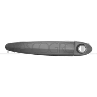 Poignée extérieure de porte avant gauche PRASCO BM8028002