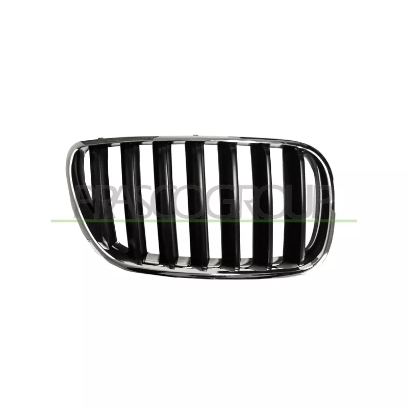 Grille de radiateur PRASCO BM8032003