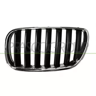 Grille de radiateur PRASCO BM8032004