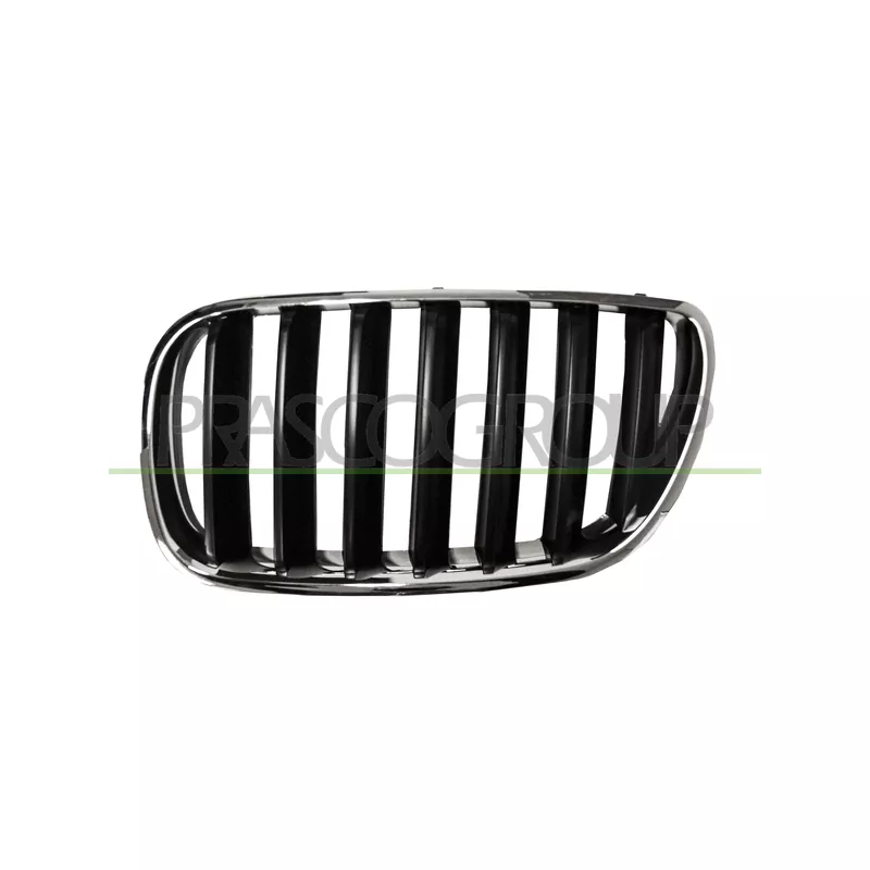 Grille de radiateur PRASCO BM8032004