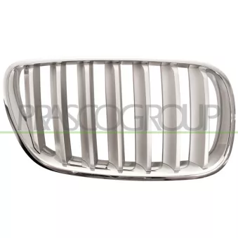 Grille de radiateur PRASCO BM8032013
