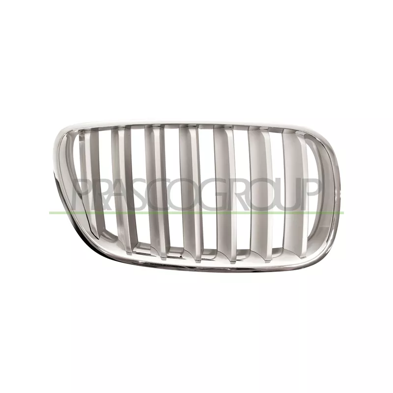 Grille de radiateur PRASCO BM8032013