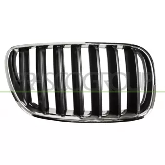 Grille de radiateur PRASCO BM8032023