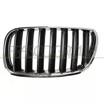 Grille de radiateur PRASCO BM8032024