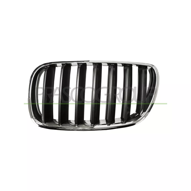 Grille de radiateur PRASCO BM8032024