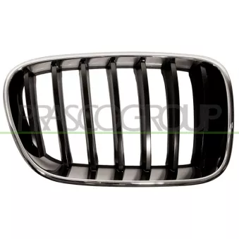 Grille de radiateur PRASCO BM8042003