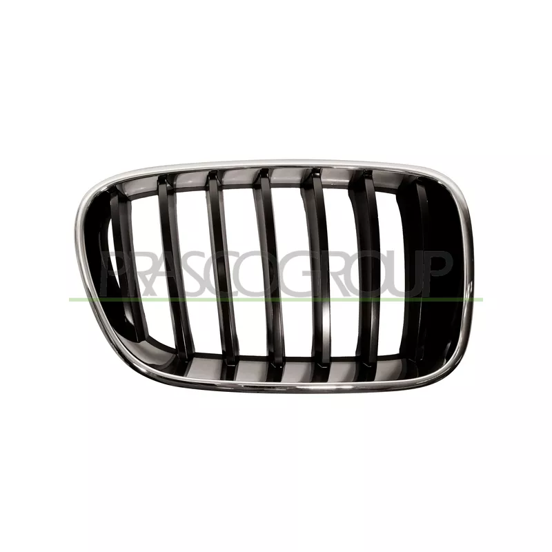 Grille de radiateur PRASCO BM8042003