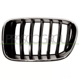 Grille de radiateur PRASCO BM8042004