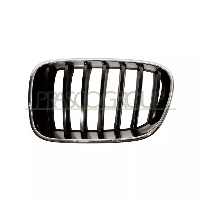Grille de radiateur PRASCO BM8042004
