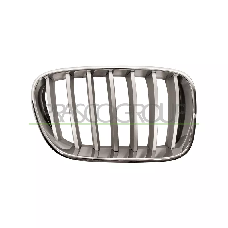 Grille de radiateur PRASCO BM8042013