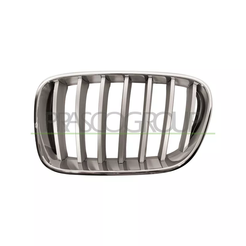 Grille de radiateur PRASCO BM8042014