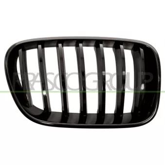 Grille de radiateur PRASCO BM8052003