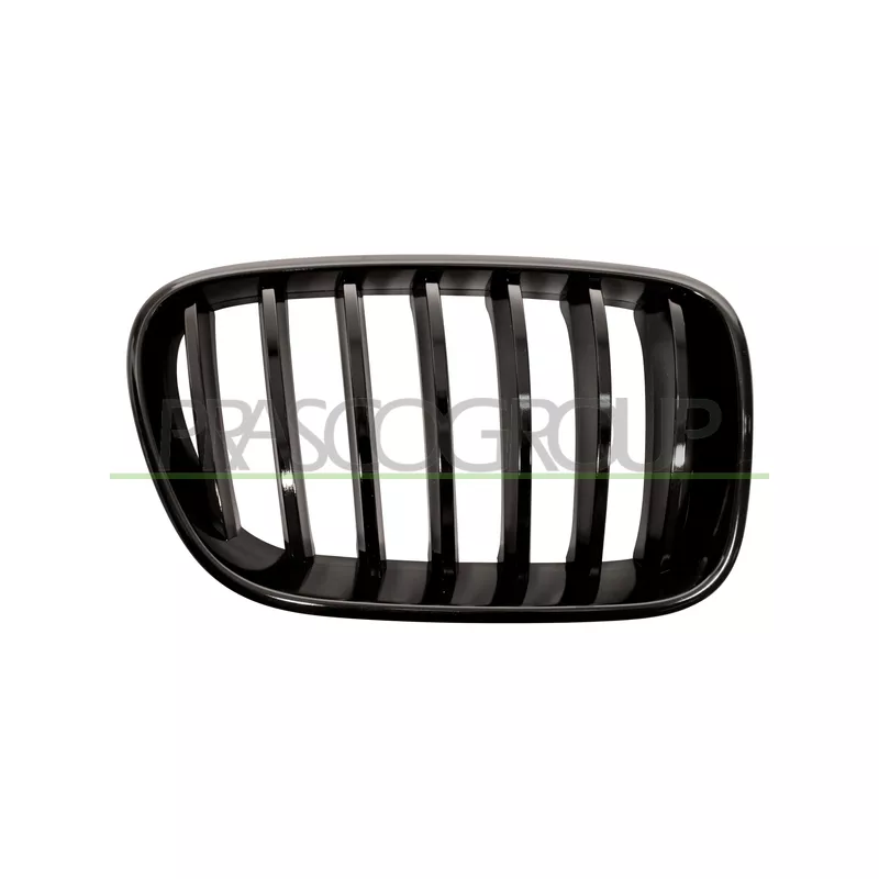 Grille de radiateur PRASCO BM8052003