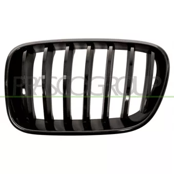 Grille de radiateur PRASCO BM8052004