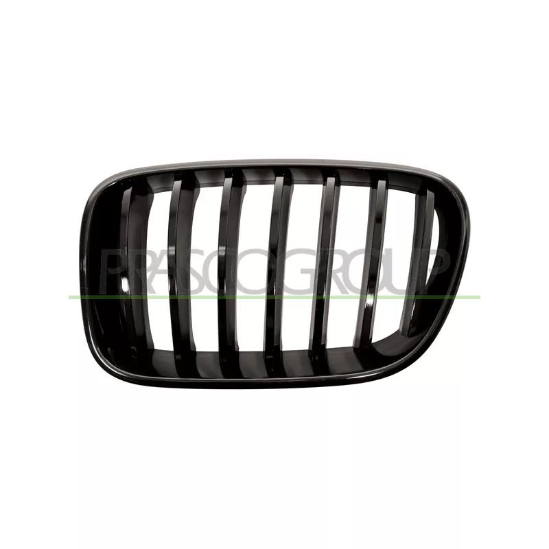 Grille de radiateur PRASCO BM8052004