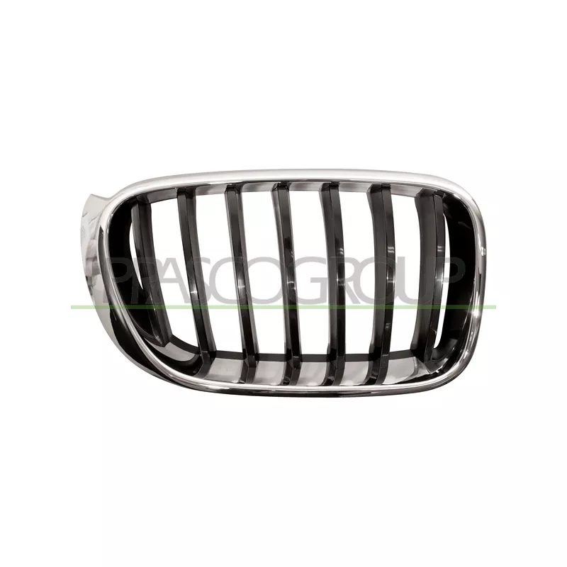 Grille de radiateur PRASCO BM8062003