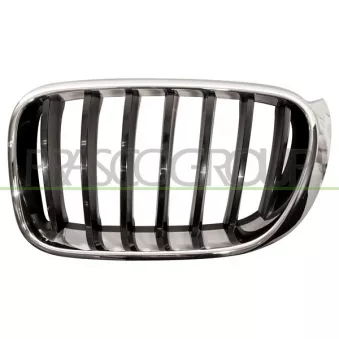 Grille de radiateur PRASCO BM8062004