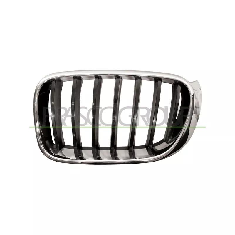 Grille de radiateur PRASCO BM8062004