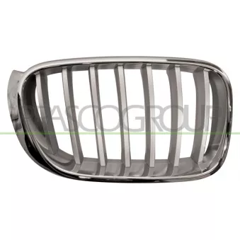 Grille de radiateur PRASCO BM8062013