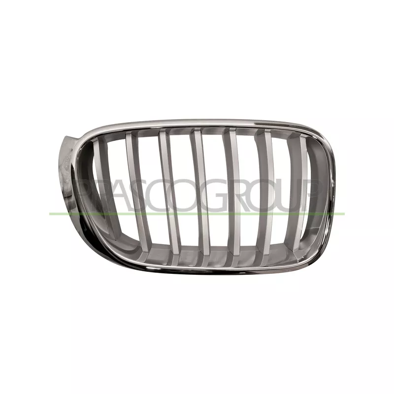 Grille de radiateur PRASCO BM8062013