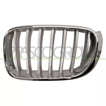 Grille de radiateur PRASCO BM8062014