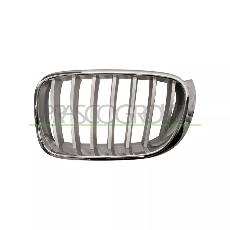 Grille de radiateur PRASCO BM8062014