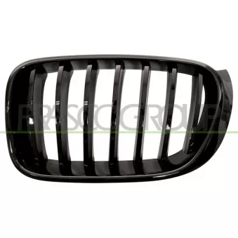 Grille de radiateur PRASCO BM8072004