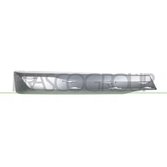Baguette et bande protectrice, pare-chocs avant gauche PRASCO BM8081244
