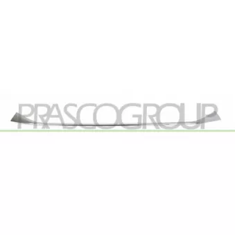 Baguette et bande protectrice, pare-chocs PRASCO BM8081811
