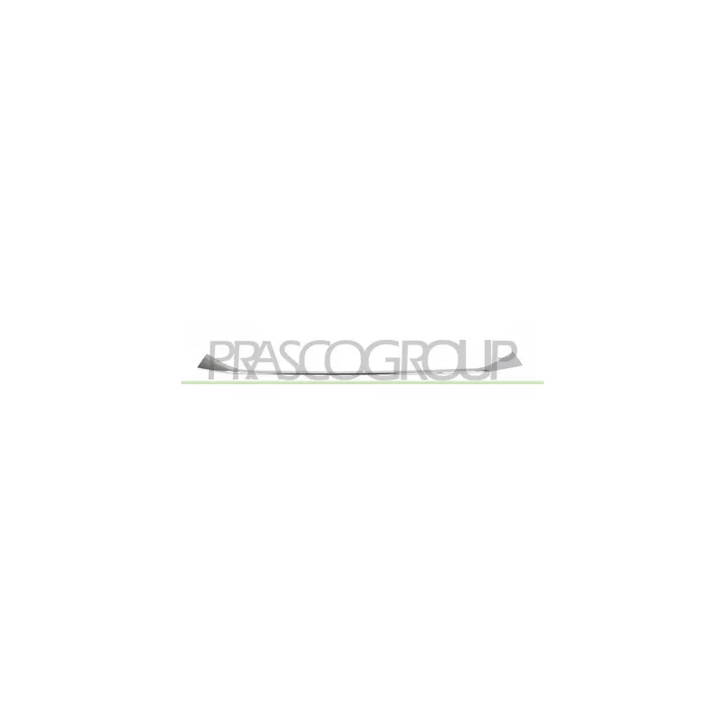 Baguette et bande protectrice, pare-chocs PRASCO BM8081811