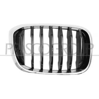 Grille de radiateur PRASCO BM8082003