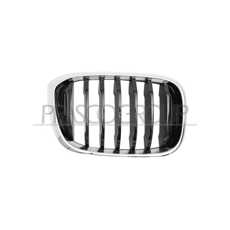 Grille de radiateur PRASCO BM8082003