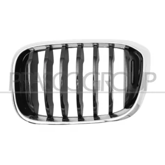 Grille de radiateur PRASCO BM8082004