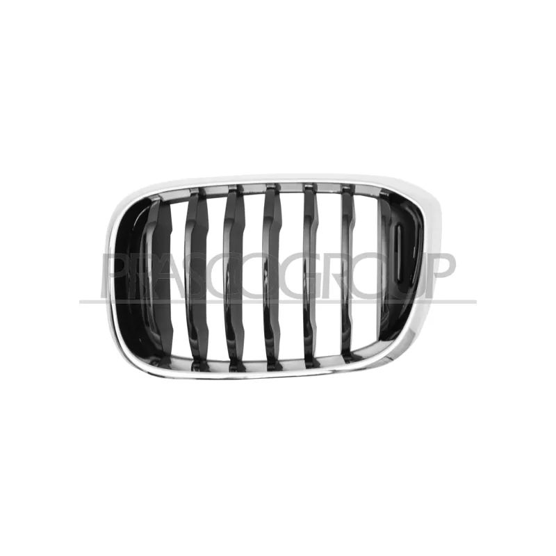 Grille de radiateur PRASCO BM8082004