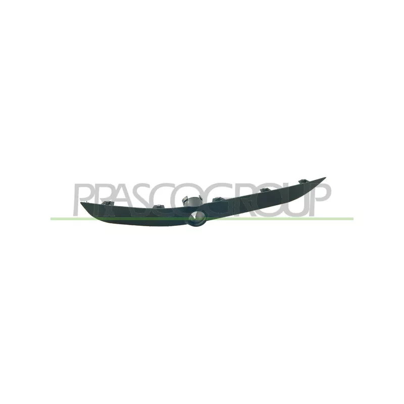 Baguette et bande protectrice, pare-chocs avant droit PRASCO BM8201243