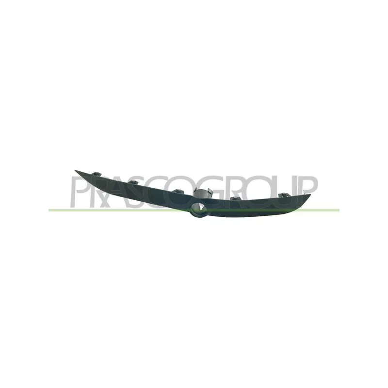 Baguette et bande protectrice, pare-chocs avant gauche PRASCO BM8201244