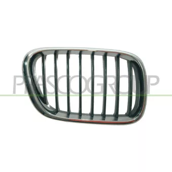 Grille de radiateur avant droit PRASCO BM8202003