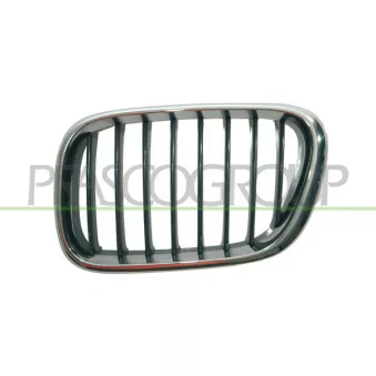 Grille de radiateur avant gauche PRASCO BM8202004