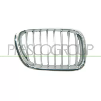 Grille de radiateur avant droit PRASCO BM8202013