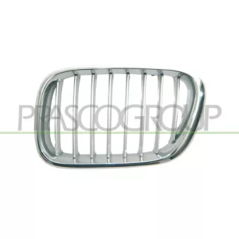Grille de radiateur avant gauche PRASCO BM8202014