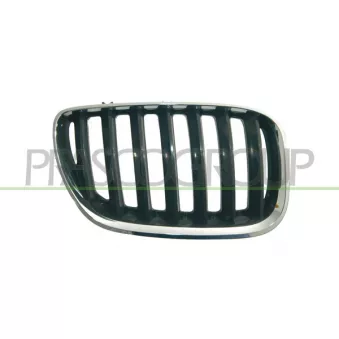 Grille de radiateur avant droit PRASCO BM8202023