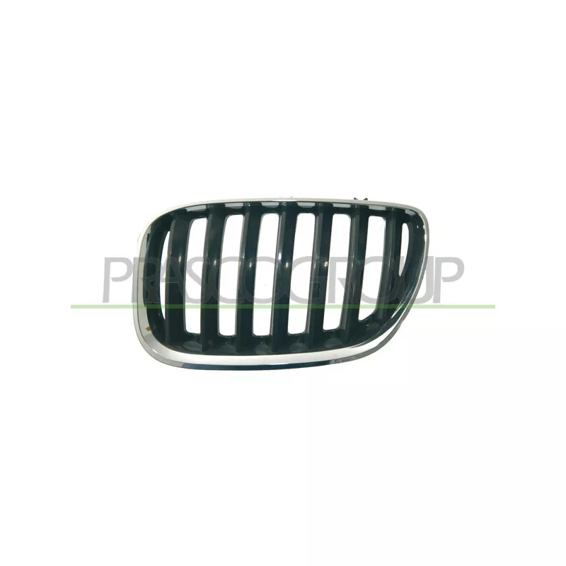 Grille de radiateur avant gauche PRASCO BM8202024