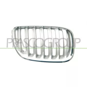 Grille de radiateur avant droit PRASCO BM8202033