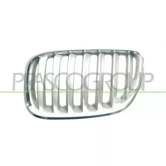 Grille de radiateur avant gauche PRASCO BM8202034
