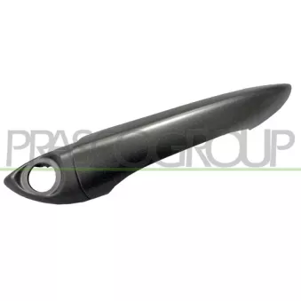 Poignée extérieure de porte avant gauche PRASCO BM8208008