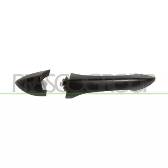 Poignée extérieure de porte arrière gauche PRASCO BM8208104