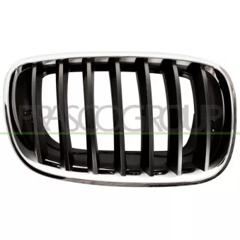 Grille de radiateur PRASCO BM8222003