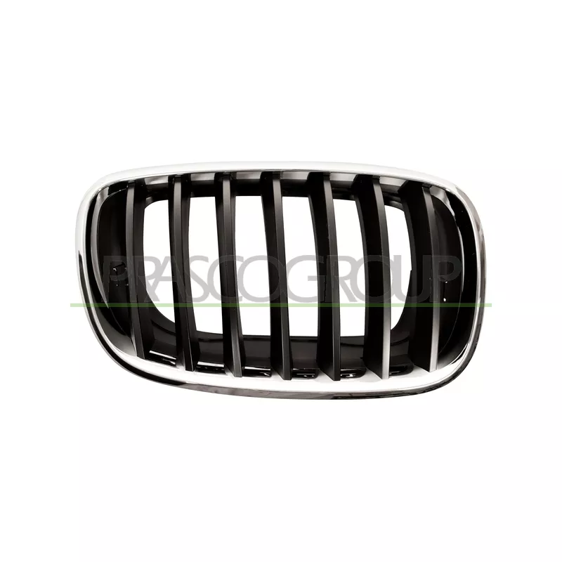 Grille de radiateur PRASCO BM8222003